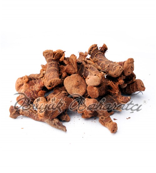 Sıfy Havlıcan Kökü 100 gr